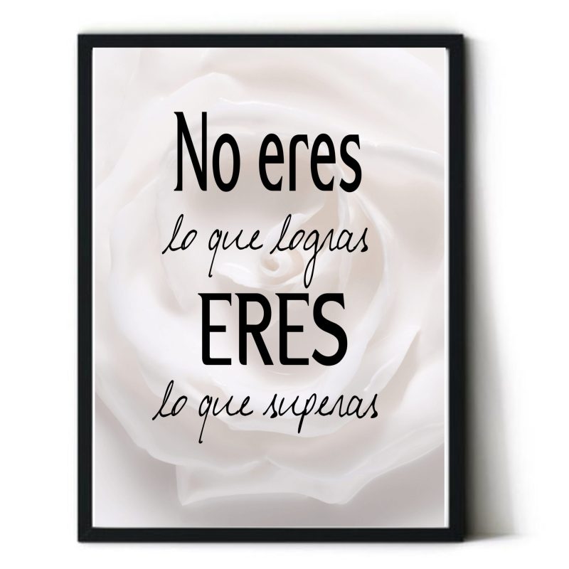 no eres lo que