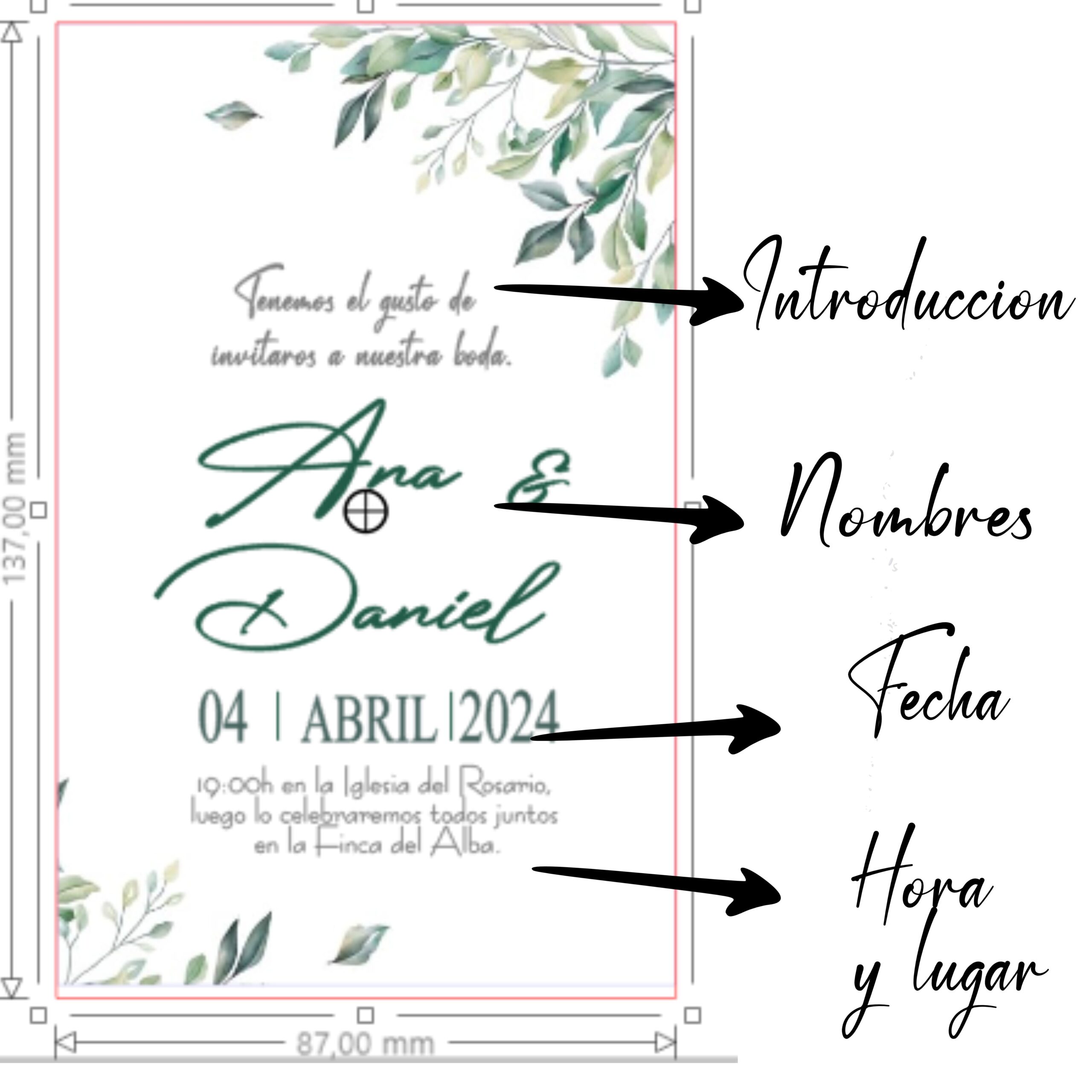Invitaciones de Boda Personalizadas. Pack 27 uds. Sobres Invitaciones Boda Incluidos. Tarjetas Estudio 14 x 9 cm. Papel Fotográfico 250 gr. Modelo Eucaliptus. - Imagen 6